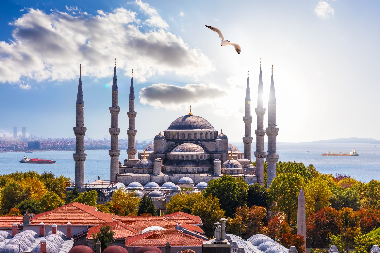 Istanbul City Tour - 4 Hour